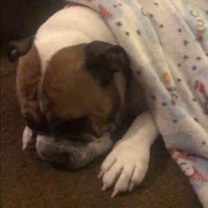 Meet your Posher, Jim